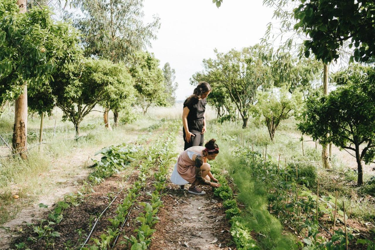 Humus Farm Villa Águas de Moura Eksteriør bilde